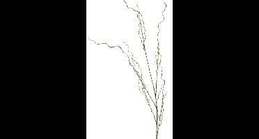 Twig spray gold 130cm