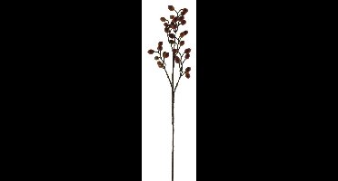 Cranberries spray brown 76cm