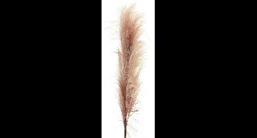 Feather spray mauve 160cm