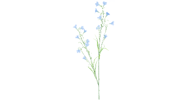 Campanula spray Reeva blue 105cm