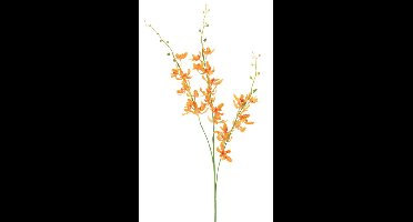 Chinese cymbidium spray orange 95cm