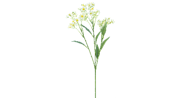 Daphne spray Elena cream 72cm