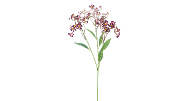 Daphne spray Elena purple/red 72cm