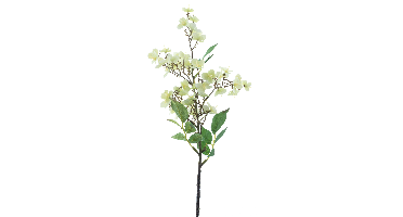 Wild rose spray green 52cm