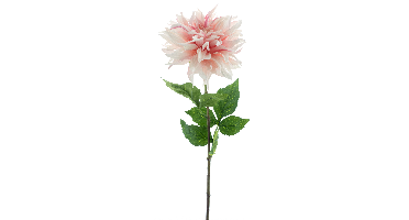Dahlia spray Mumba pink 63cm