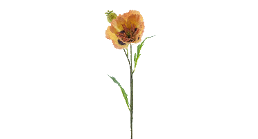 Poppy spray newwave peach 82cm
