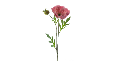 Poppy spray new wave pink 82cm