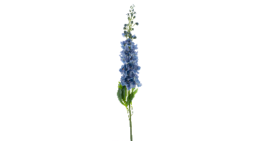 Nova Nature Delphinium spray Roland blue 87cm