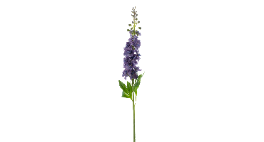 Nova Nature Delphinium spray Roland purple 87cm