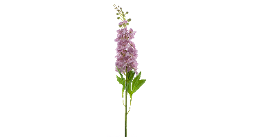 Nova Nature Delphinium spray Roland pink 87cm