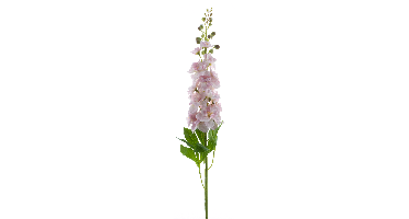 Delphinium spray Roland lt pink 87cm