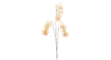 Nova Nature Eremurus spray Vidar old pink 103cm