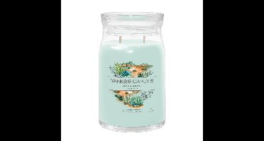 Yankee Candle aloe & agave signature large jar