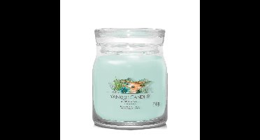 Yankee Candle aloe & agave signature medium jar