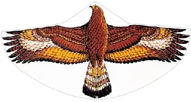 Eenlijnsvlieger Gold Eagle 92x62cm