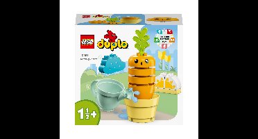 LEGO® DUPLO 10981 Mijn eerste groeiende wortel