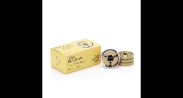 Max Benjamin Car Fragrance Gift Set Lemongrass & Ginger