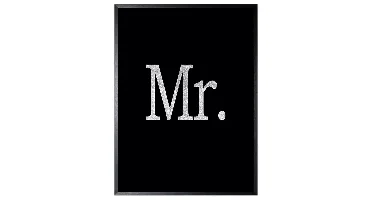 Schilderij 32x42cm Mr. print silver