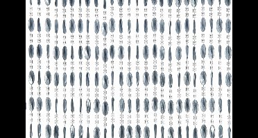 Wicotex Vliegengordijn Charlotte 90x220cm