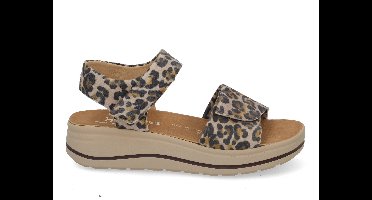 Hartjes Woogie 132.2002 leo multi bruin maat 41