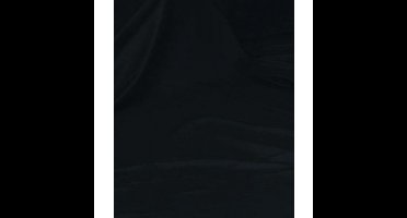 Falcon Eyes Achtergronddoek BCP-02 2,9x5 m Zwart Uitwasbaar