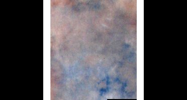 Falcon Eyes Achtergronddoek S122 2,9x7 m