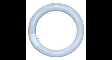 Falcon Eyes Ringlamp 28W voor RFL-2/RFL-3