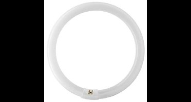 Falcon Eyes Reserve Ringlamp voor FLC-65 65W