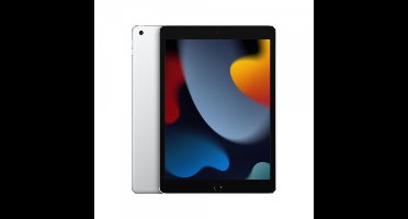 Apple iPad - 64 GB - Zilver