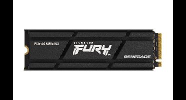 Kingston Technology 4000G RENEGADE PCIe 4.0 NVMe SSD MET HEATSINK