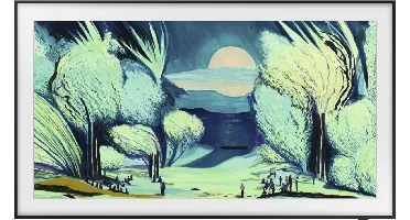 Samsung F-QE55LS03FAUX