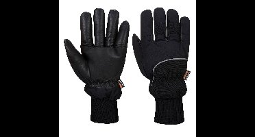 Portwest A751 Apacha Cold Store Glove