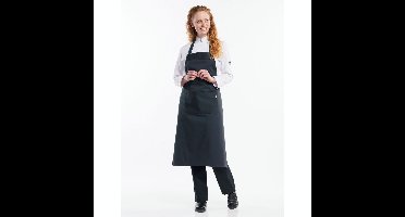 Basix 542 Bib Apron Antra