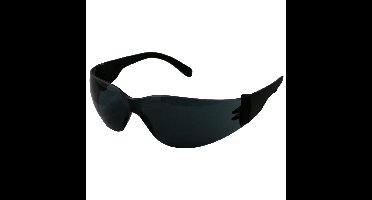 OXXA® Vision 8062 veiligheidsbril