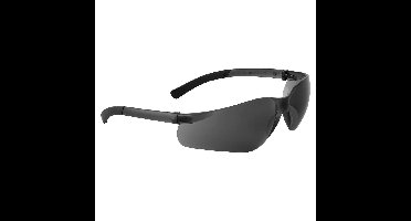 Portwest PW38 Pan View Safety Glasses