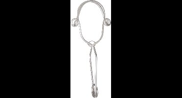 M-Safe RVS ankerhaak 75 mm