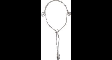 M-Safe RVS ankerhaak 140 mm