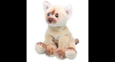 Suki Gifts Pluche kat knuffel - Himalayan - 12 cm - poes - katten