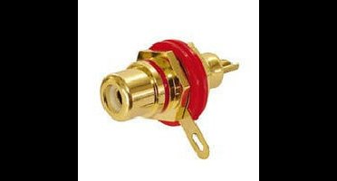 Audio Dynavox Cinch chassis rood