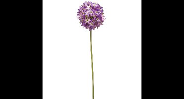 Allium/Sierui kunstbloem - losse steel - paars - 60 cm - Natuurlijke uitstraling