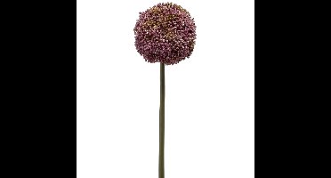 Allium/Sierui kunstbloem - losse steel - paars - 75 cm - Natuurlijke uitstraling