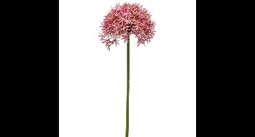 Allium/Sierui kunstbloem - losse steel - roze - 62 cm - Natuurlijke uitstraling