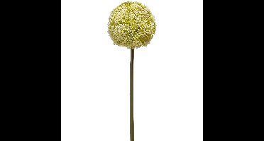 Allium/Sierui kunstbloem - losse steel - wit/groen - 75 cm - Natuurlijke uitstraling