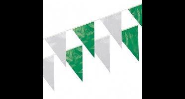 Boland Vlaggenlijn - groen/wit - 10 meter - kunststof - verjaardag