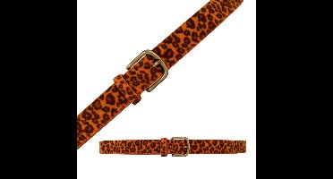 Carnaval verkleed riem - luipaard-/panterprint - oranje - Dames - gouden gesp