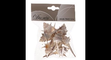 Decoris Decoratie schelpen Thorn - 6 cm - Natuurlijke schelpjes - Maritiem - strand thema