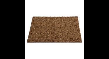 Deurmat - voor binnen - kokosvezel - 60 x 40 cm - Droogloopmat - schoonloopmat