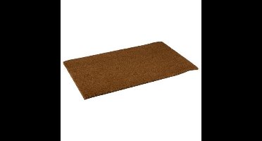 Deurmat - voor binnen - kokosvezel - 70 x 45 cm - Droogloopmat - schoonloopmat