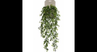 Emerald kunstplant/hangplant - Buxus - groen - 75 cm lang
