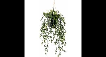 Emerald kunstplant/hangplant in pot - Buxus - groen - 50 cm lang